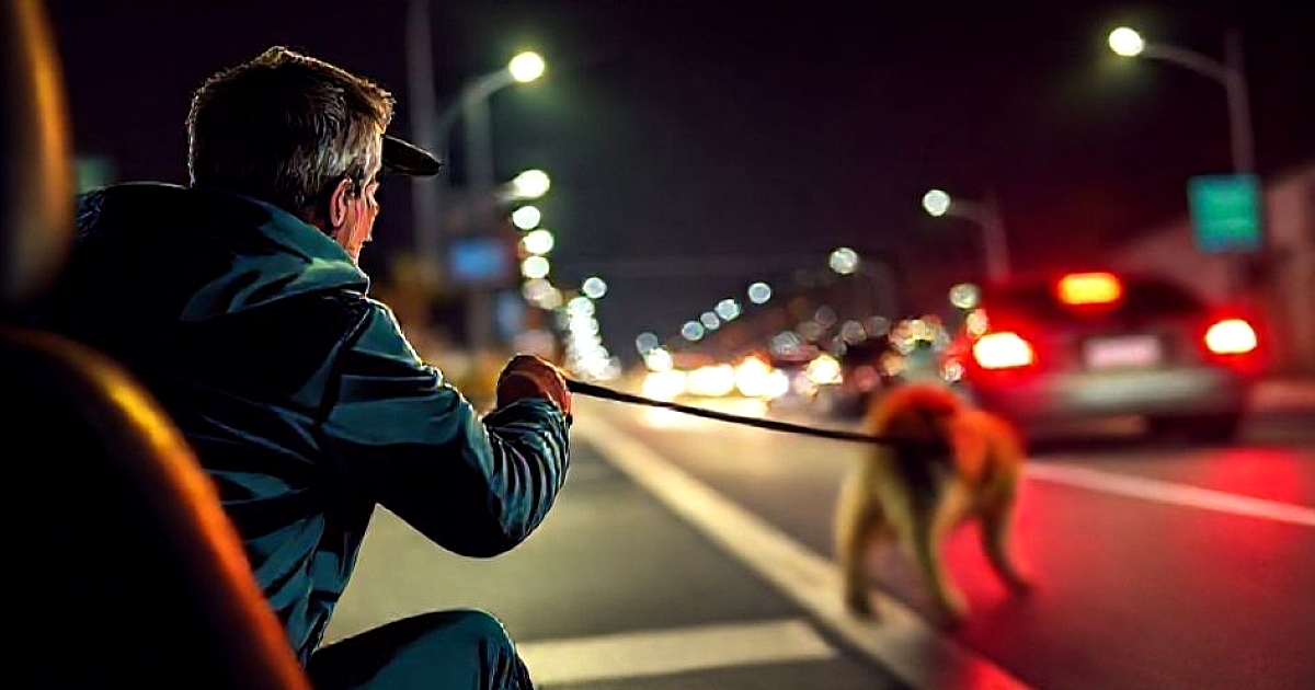 and prolonged training sessions without progress can kill enthusiasm.So, is fast learning a matter o...