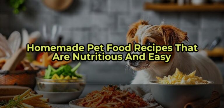 Homemade Pet Food Recipes That Are Nutritious and Easy