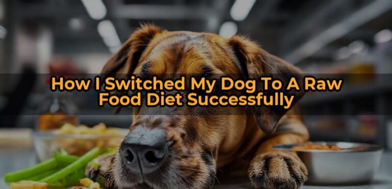 How I Switched My Dog to a Raw Food Diet Successfully
