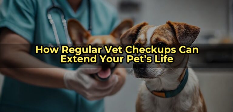 How Regular Vet Checkups Can Extend Your Pet’s Life