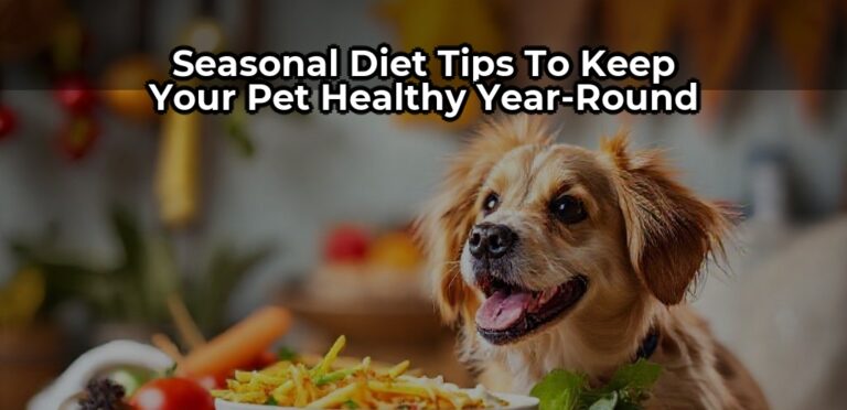 Seasonal Diet Tips to Keep Your Pet Healthy Year-Round