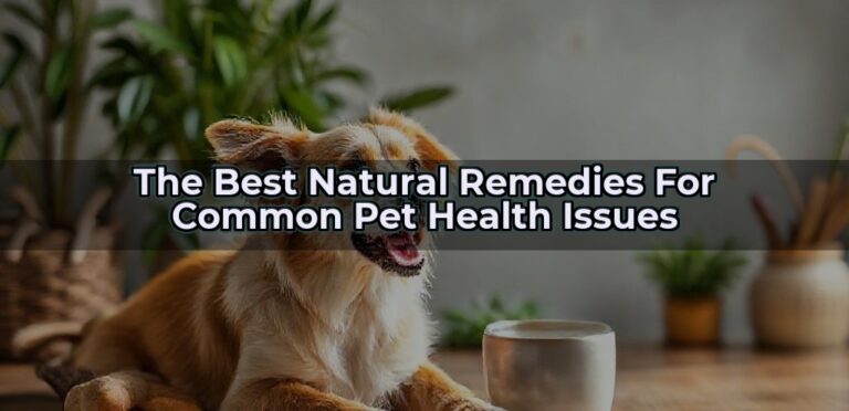 The Best Natural Remedies for Common Pet Health Issues
