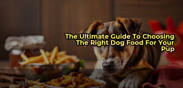 The Ultimate Guide to Choosing the Right Dog Food for Your Pup