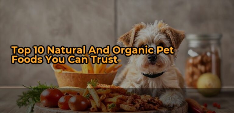 Top 10 Natural and Organic Pet Foods You Can Trust
